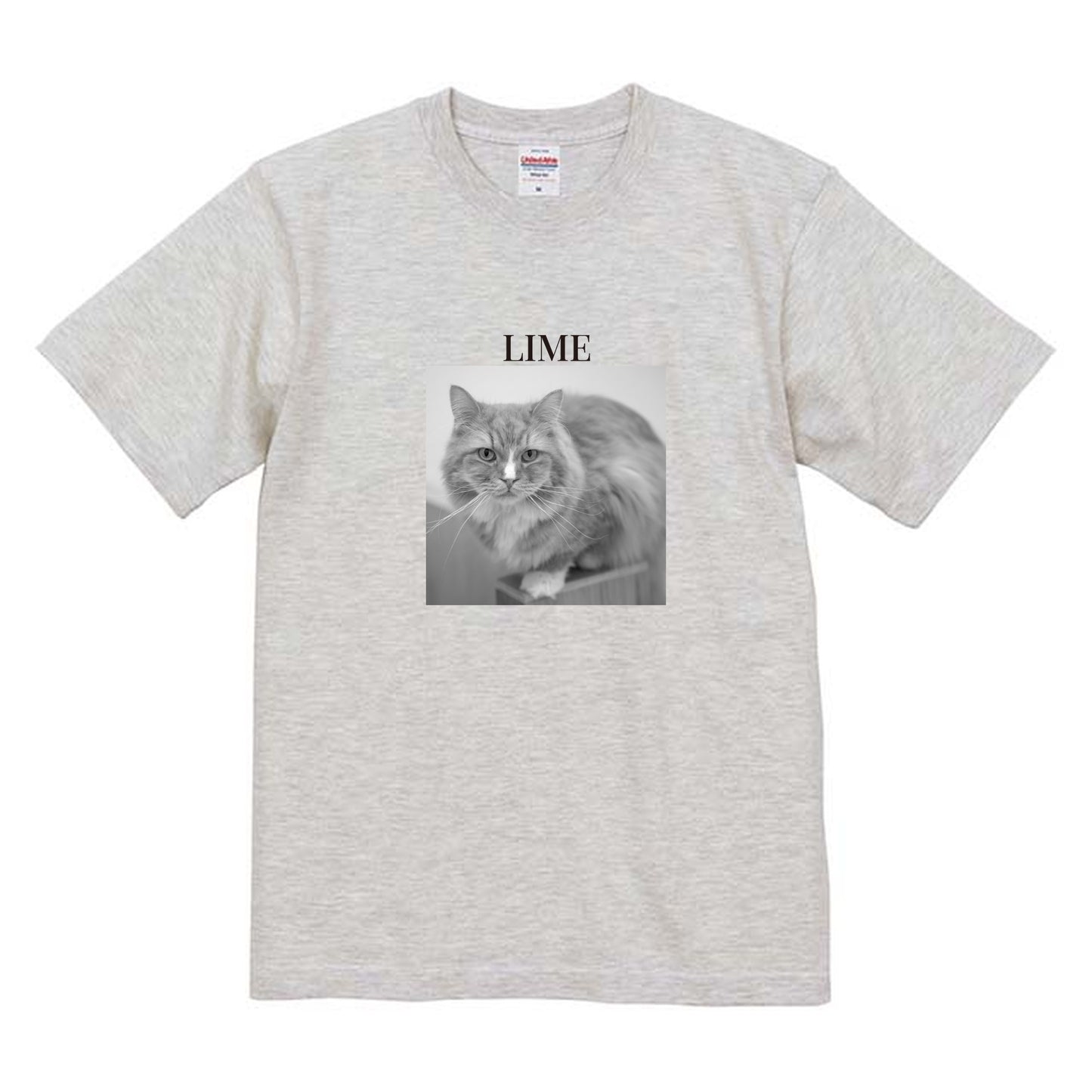 009