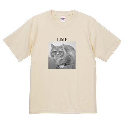 019