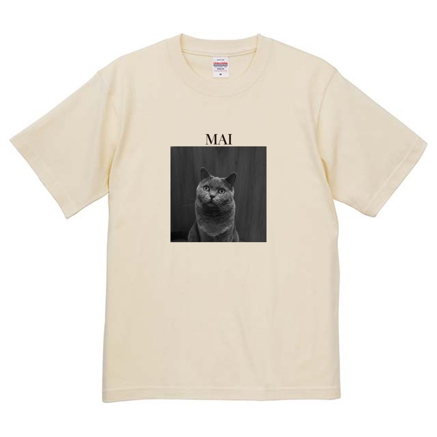 019