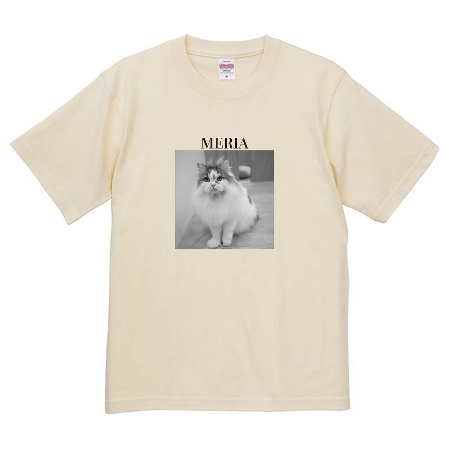 019