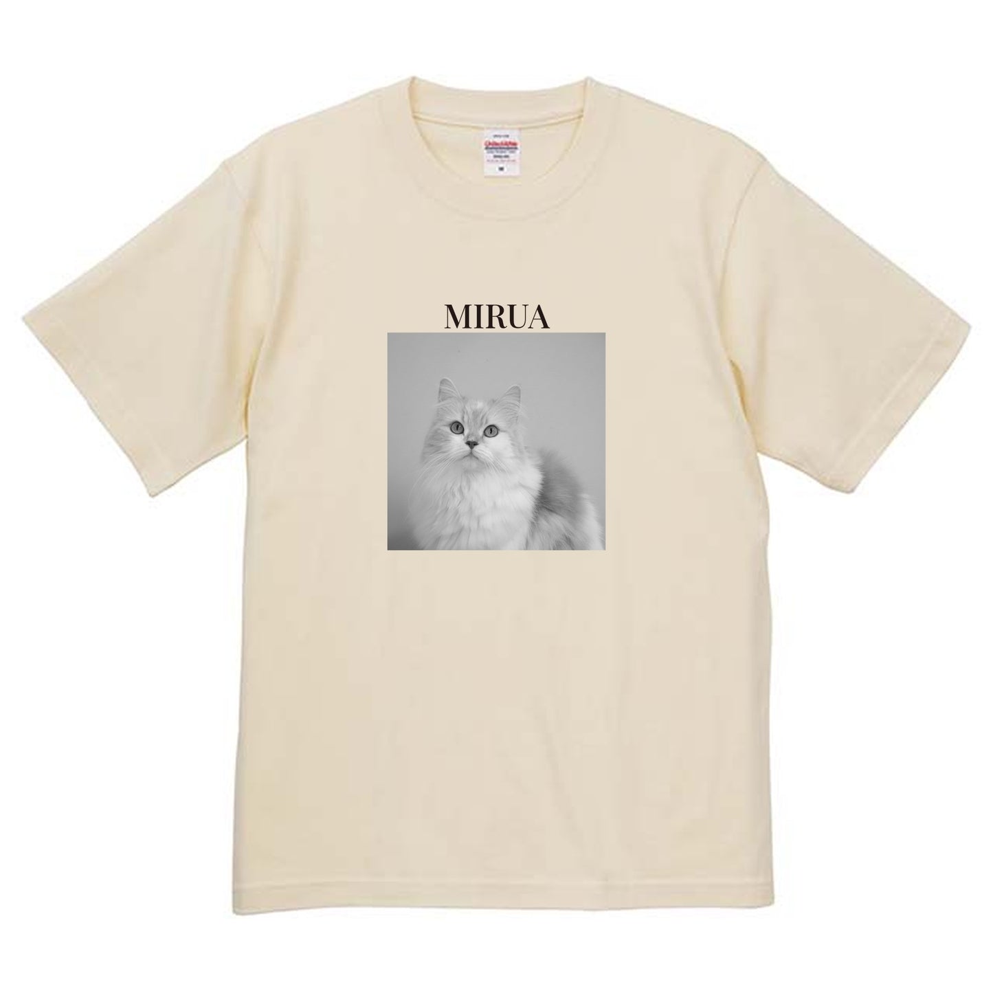 019