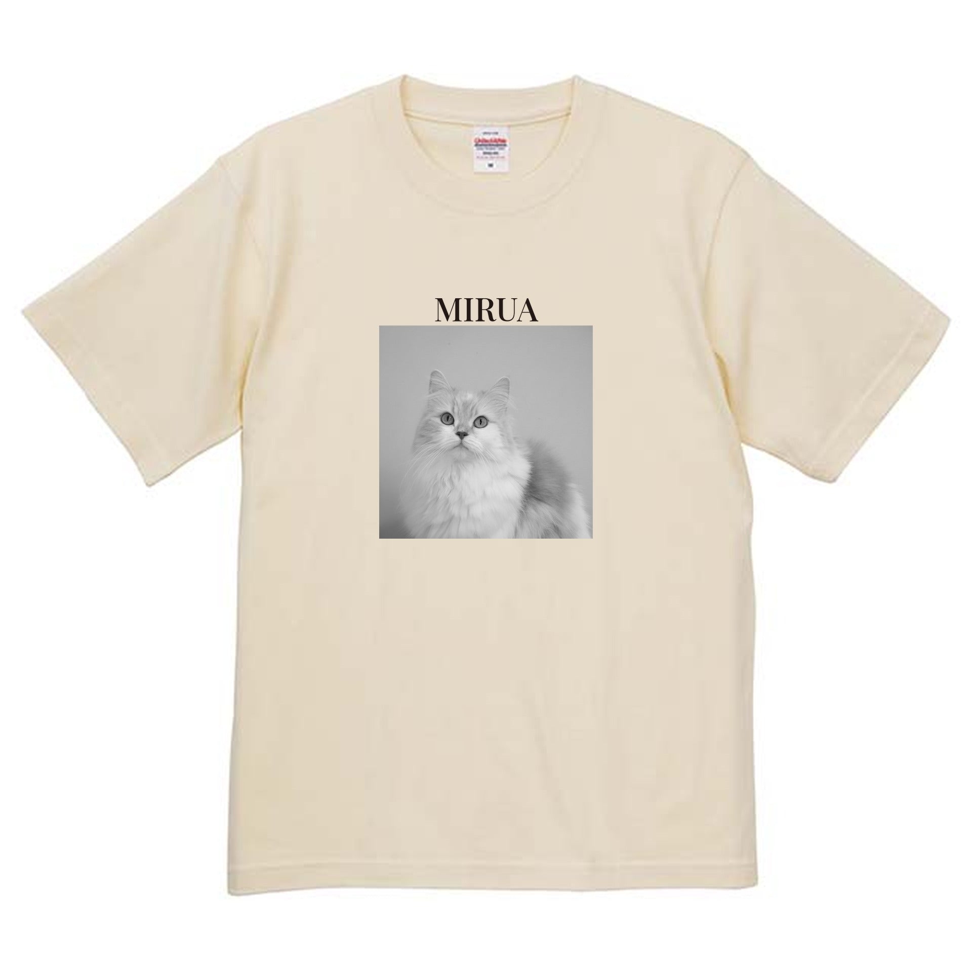 019