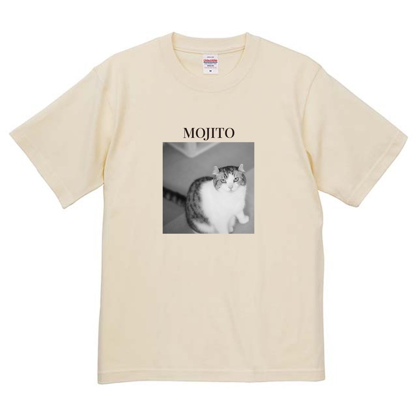 019