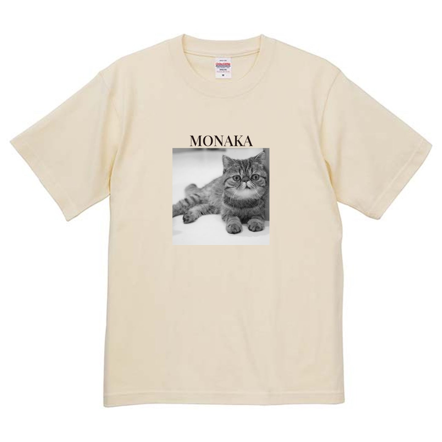 019