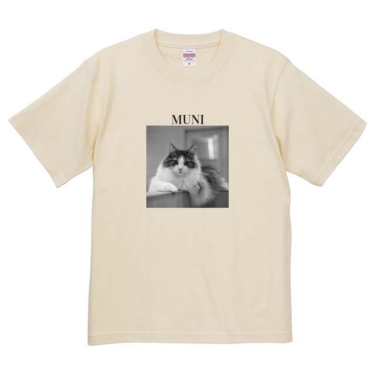 019