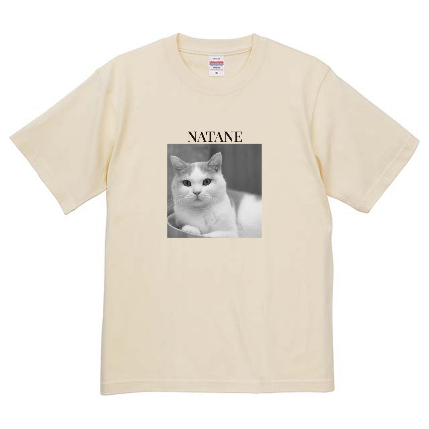 019