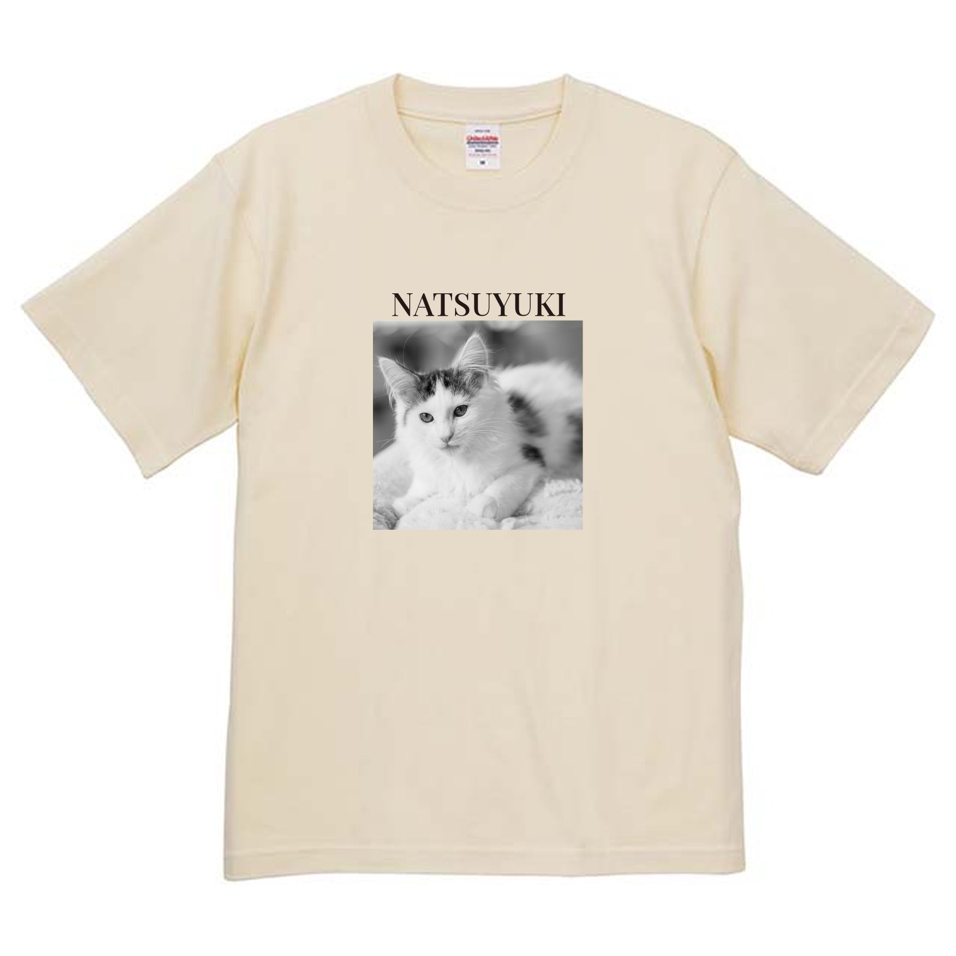 019