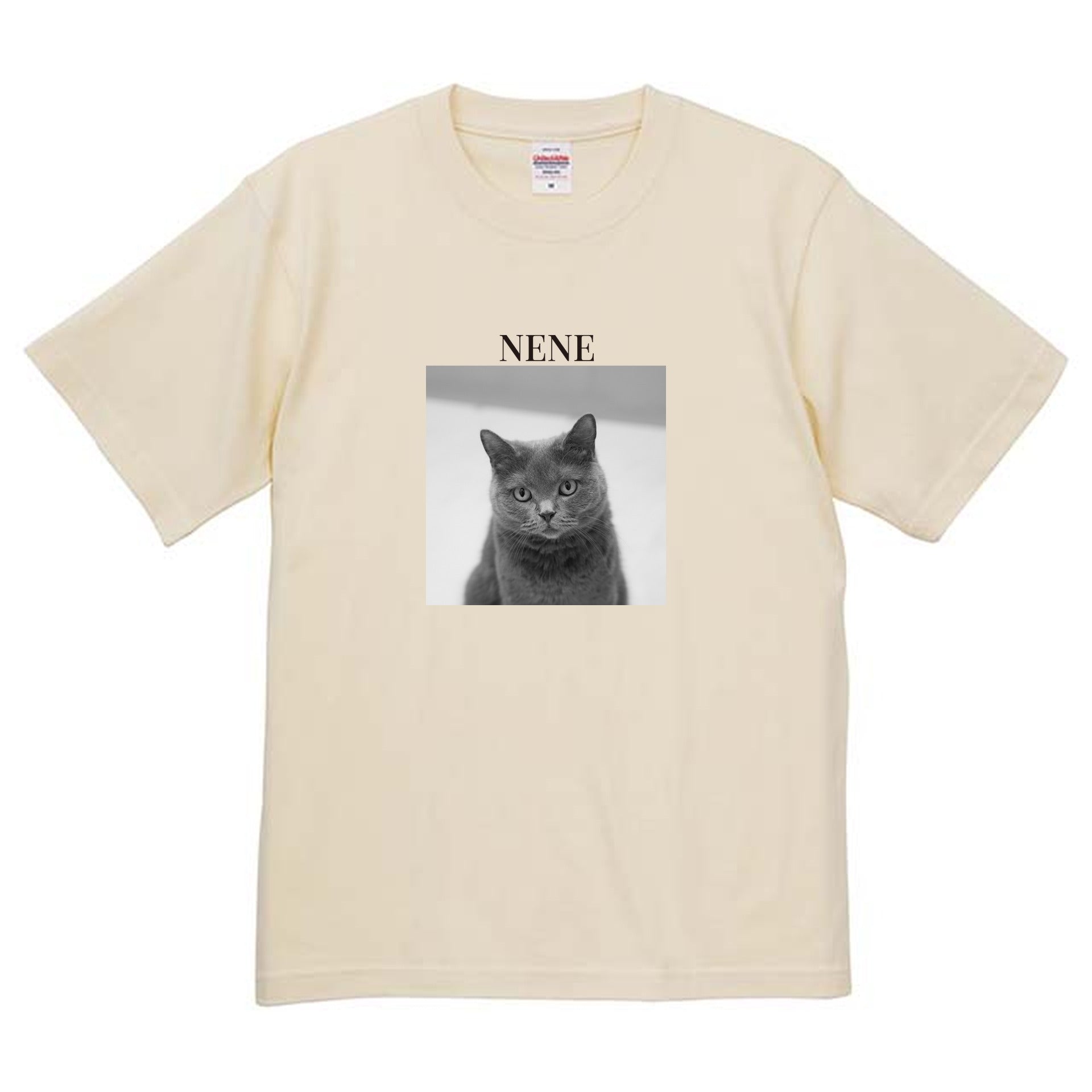 019