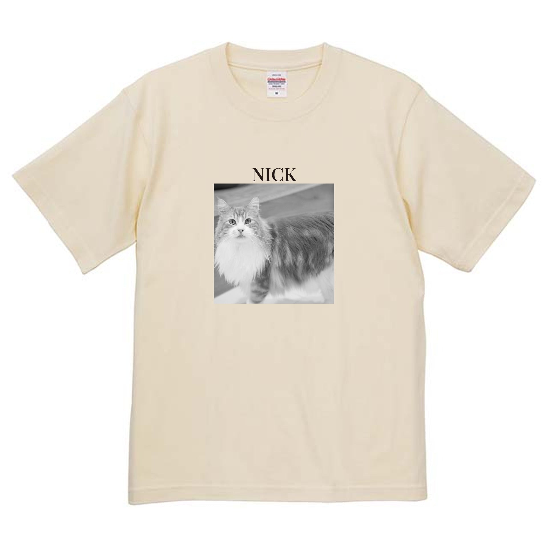 019