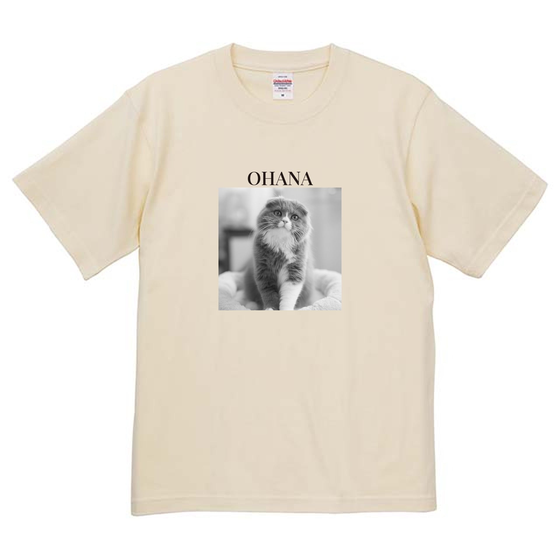 019