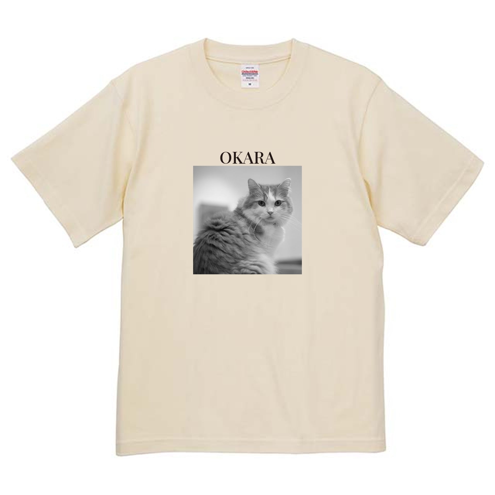 019