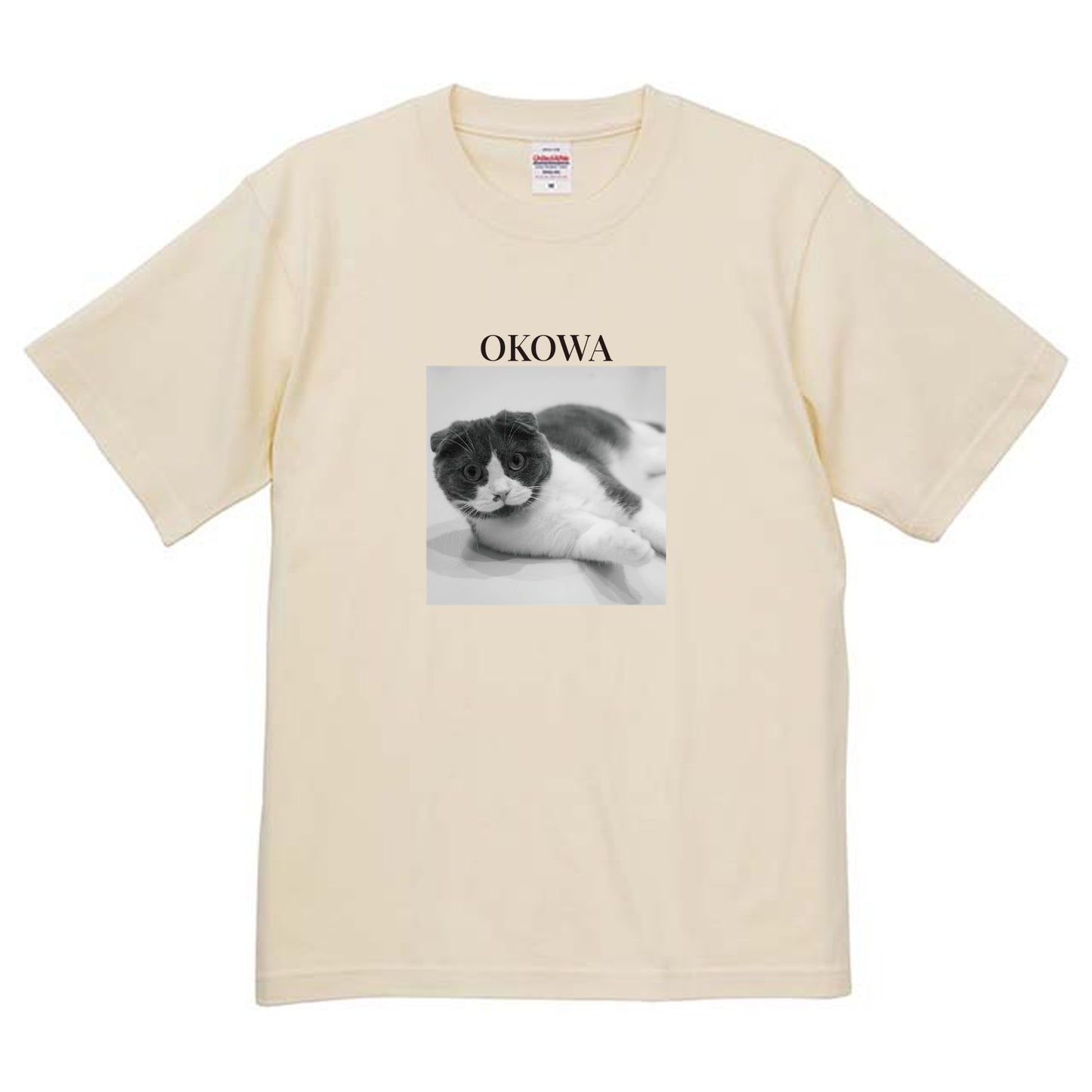 019