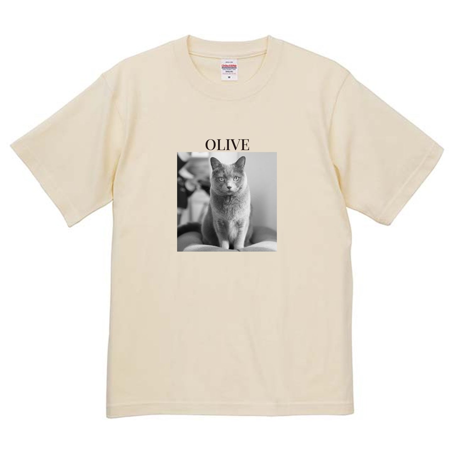 019