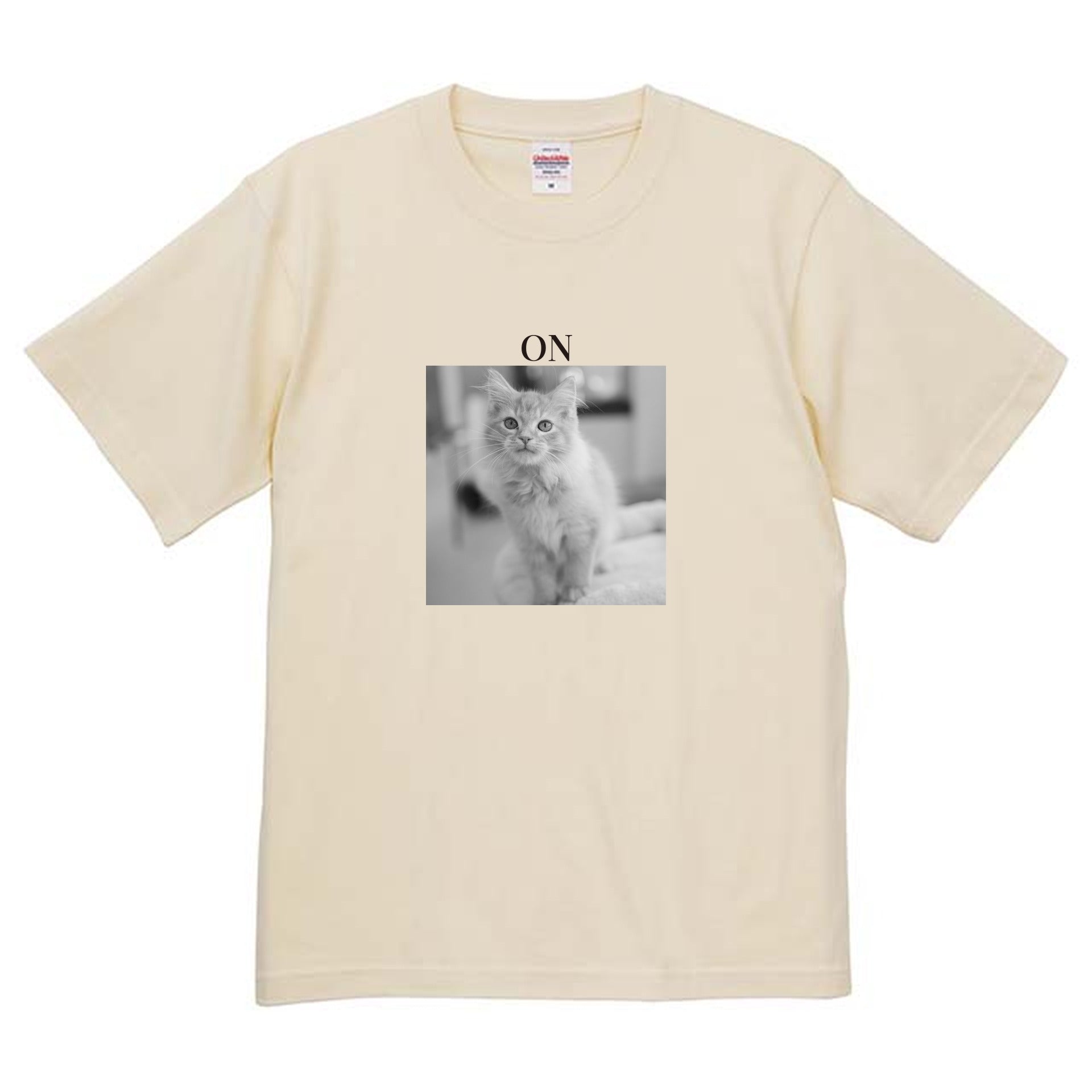 019