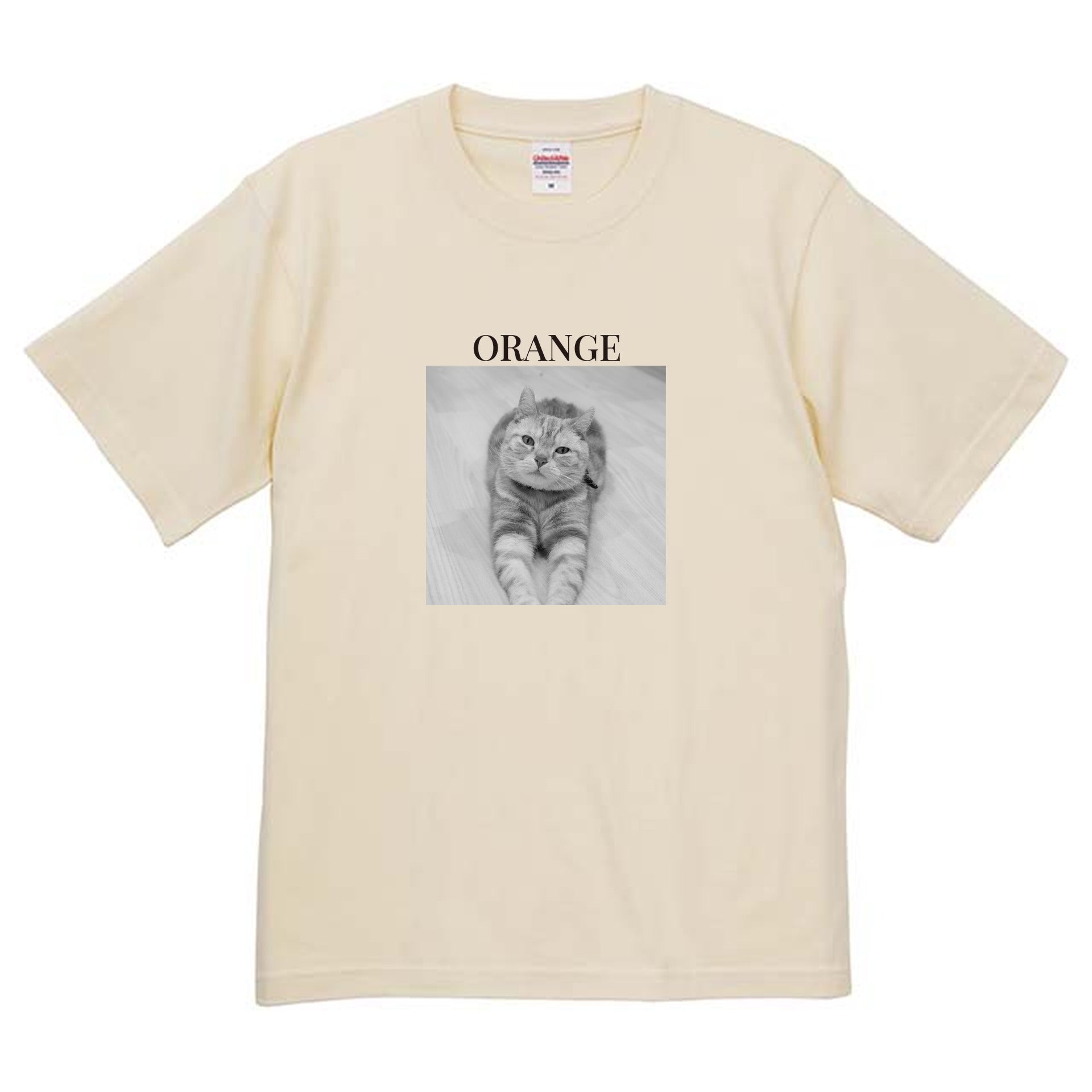 019