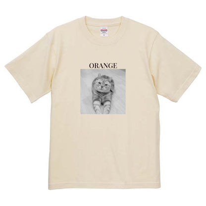 019