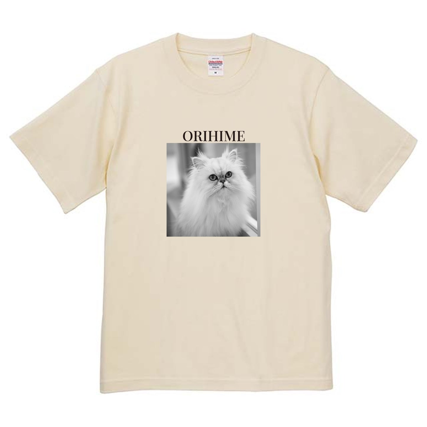 019