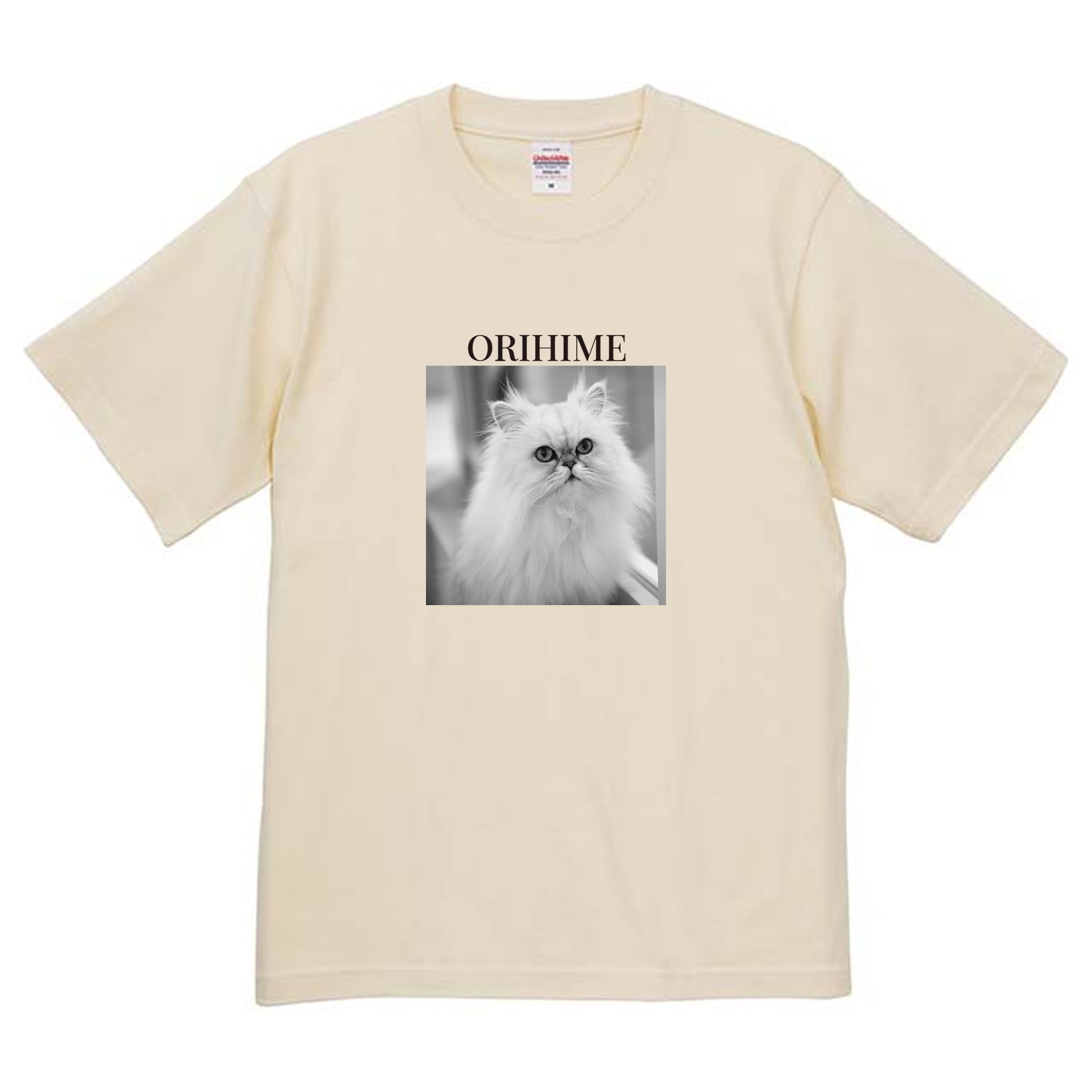 019