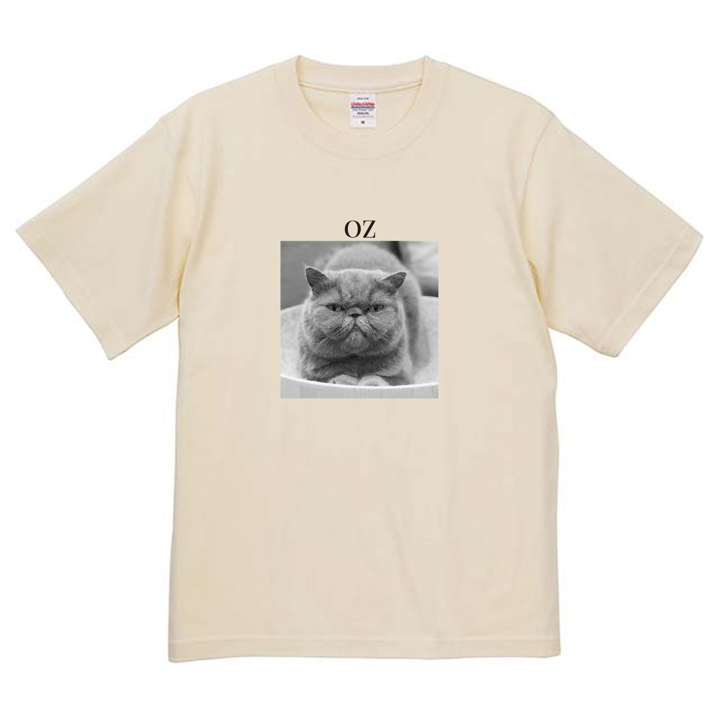 019