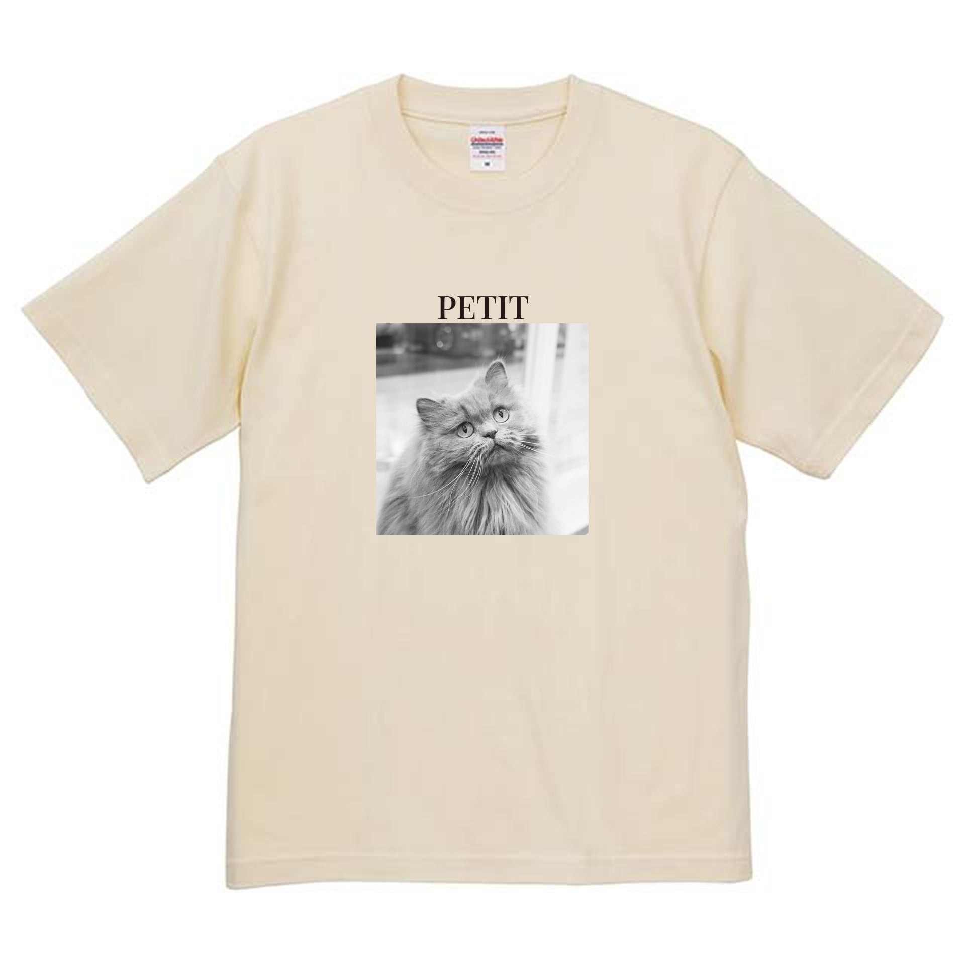 019