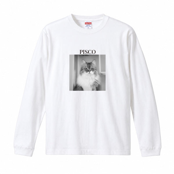 ピスコ コットンロングTシャツ