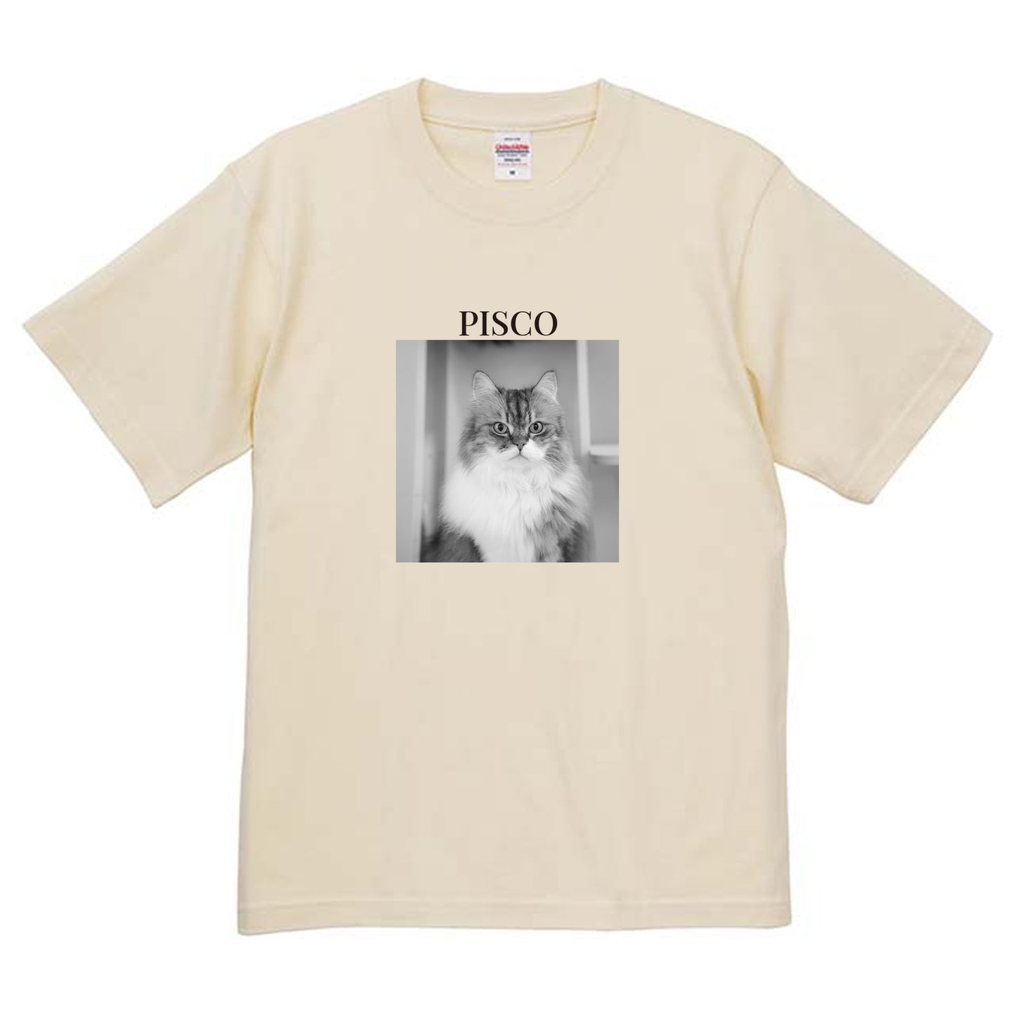 019