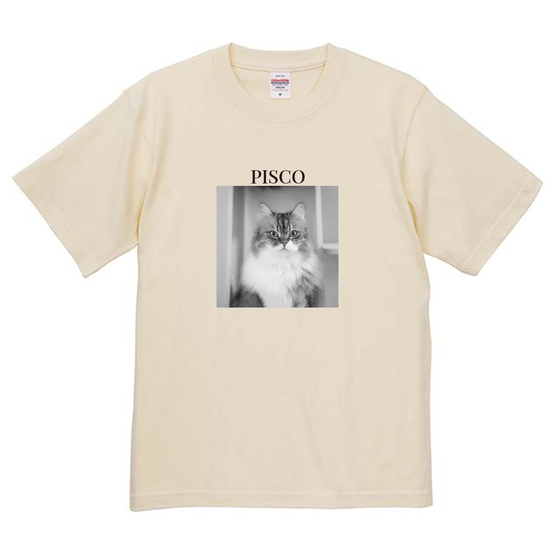 019