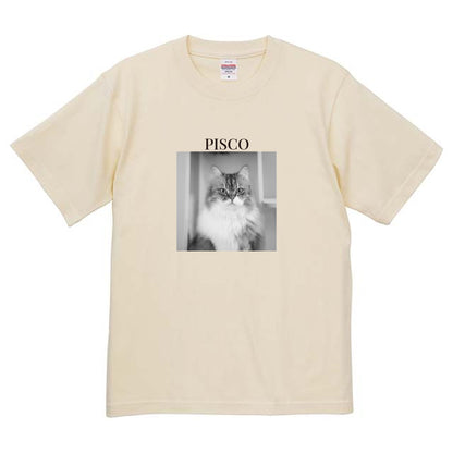 019