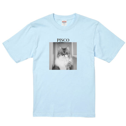 488