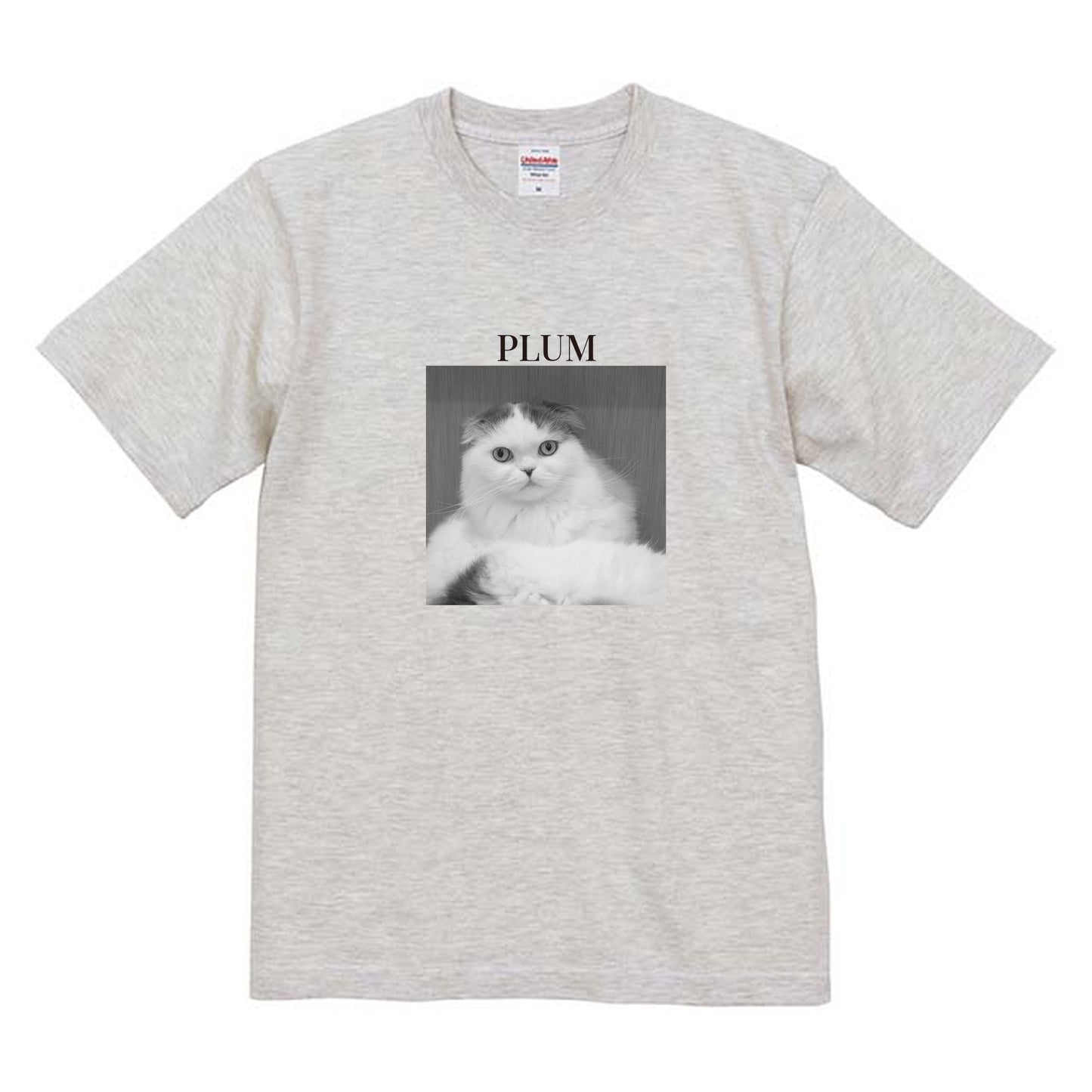 009