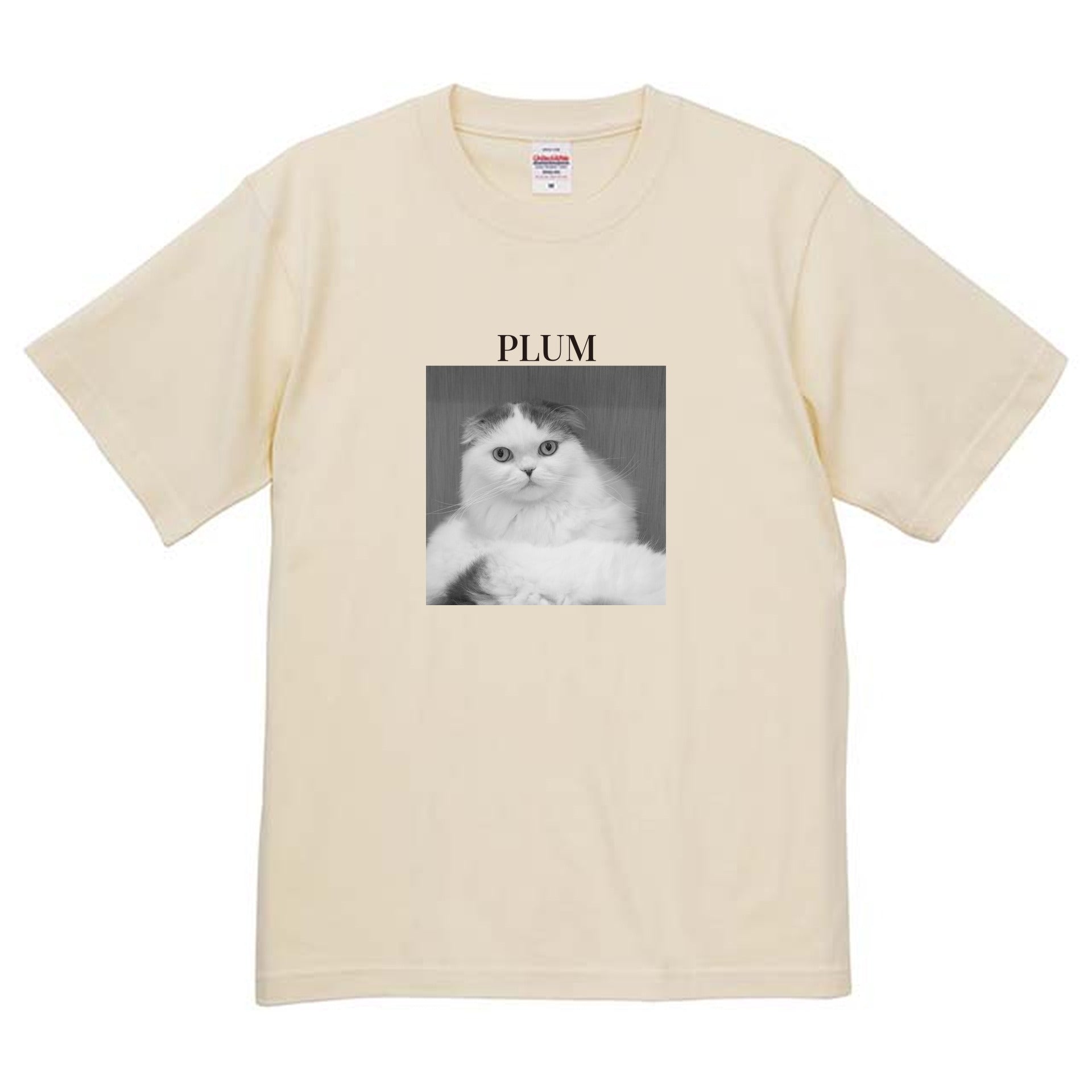 019