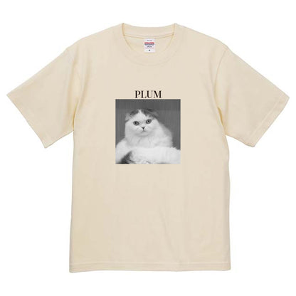 019