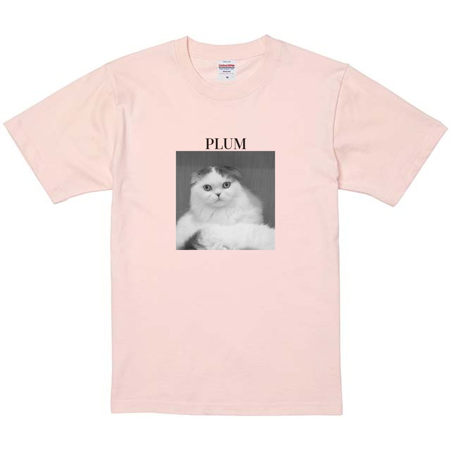 576