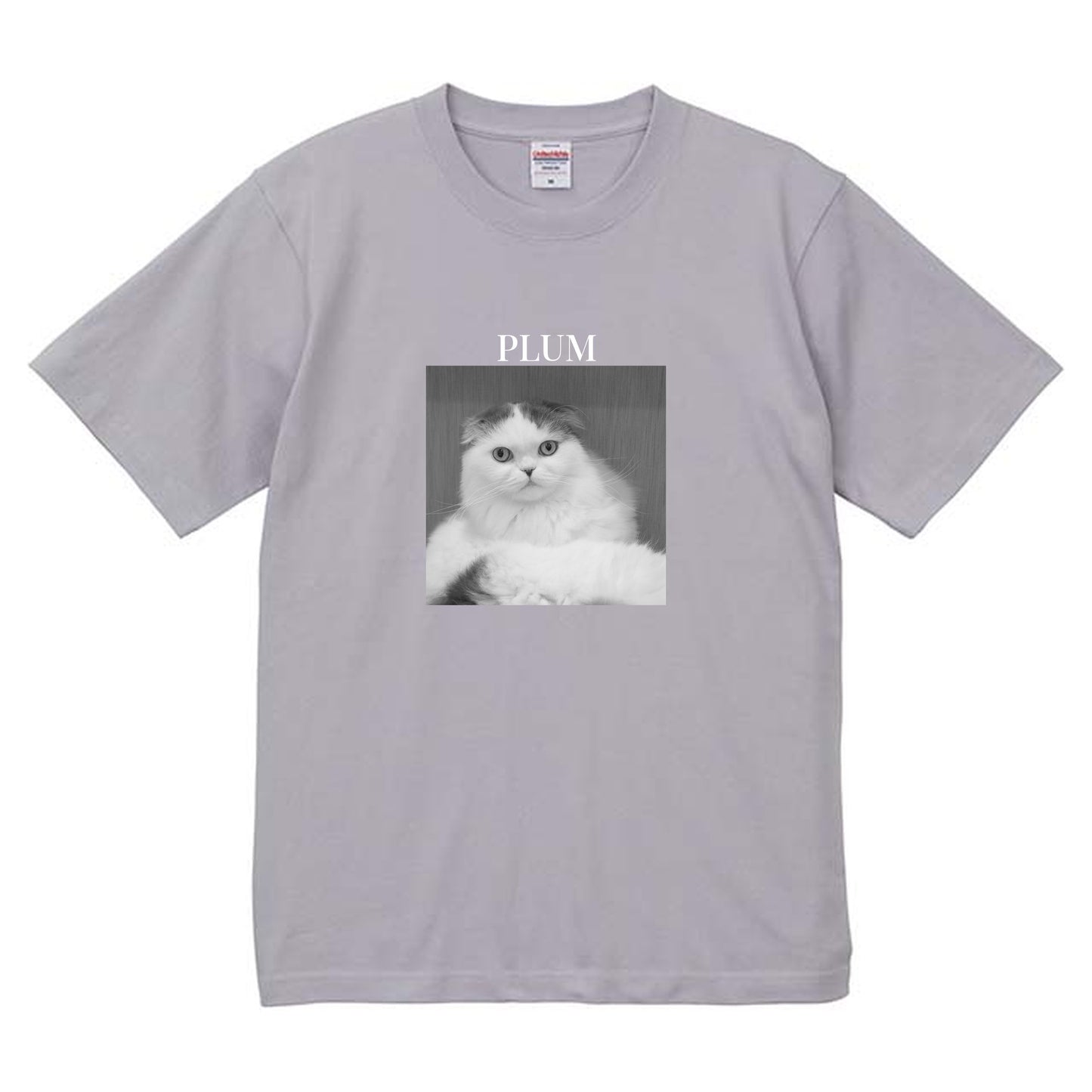 427