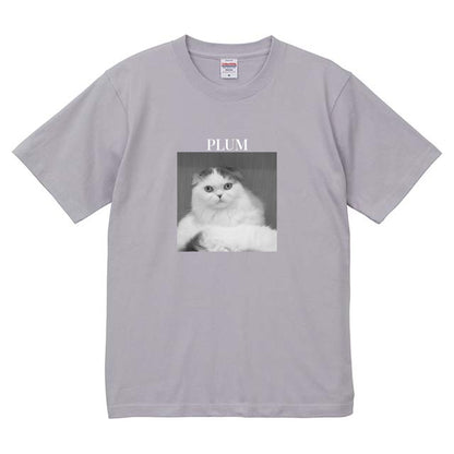 427