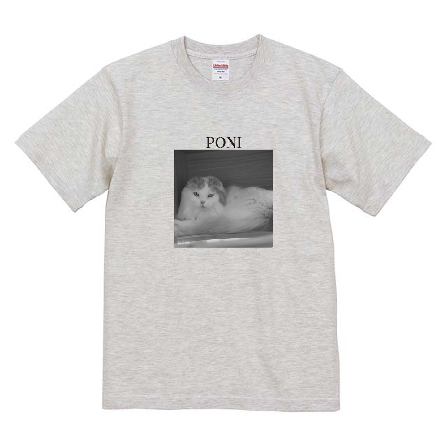 009