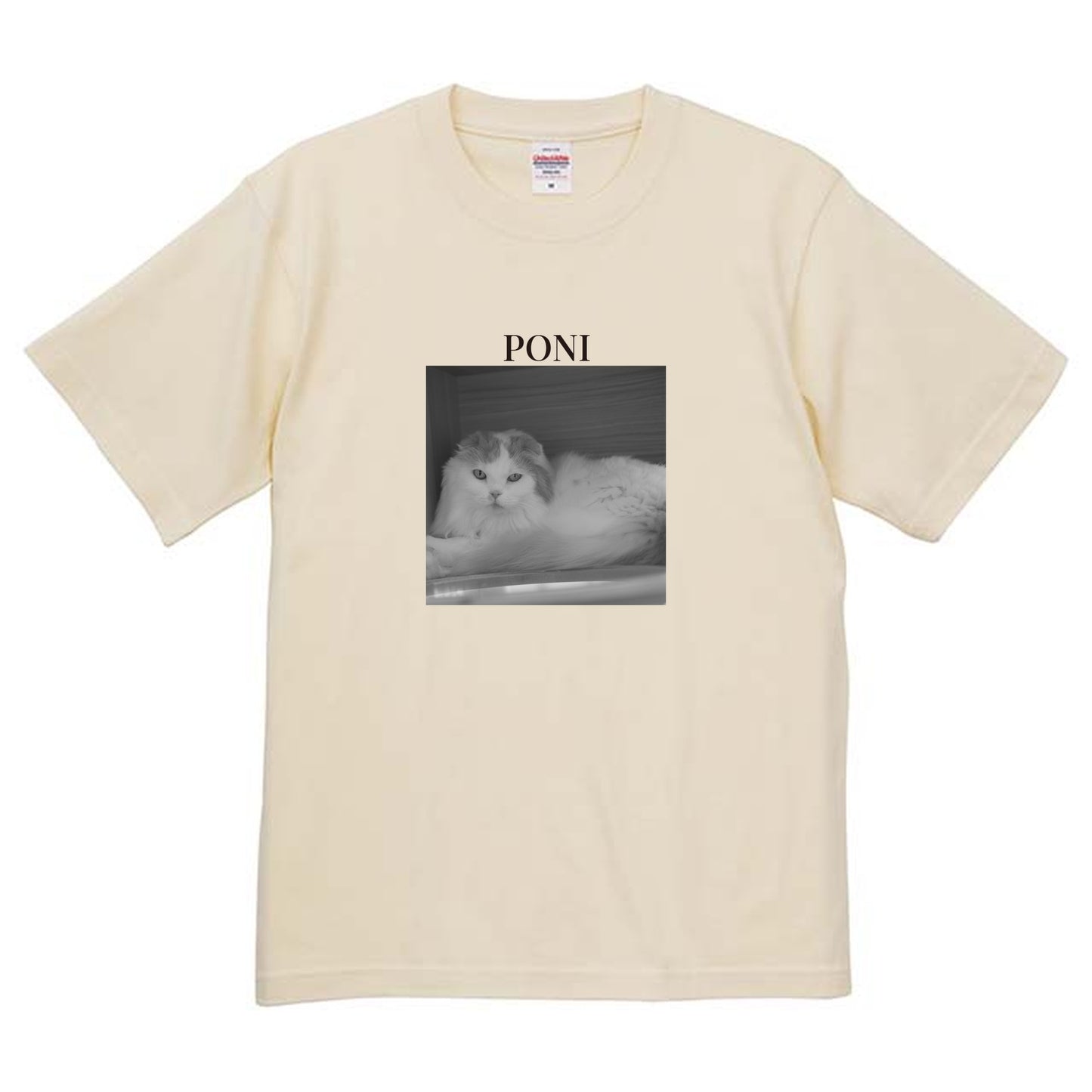 019