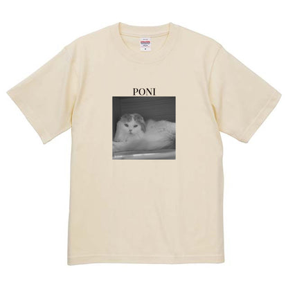 019