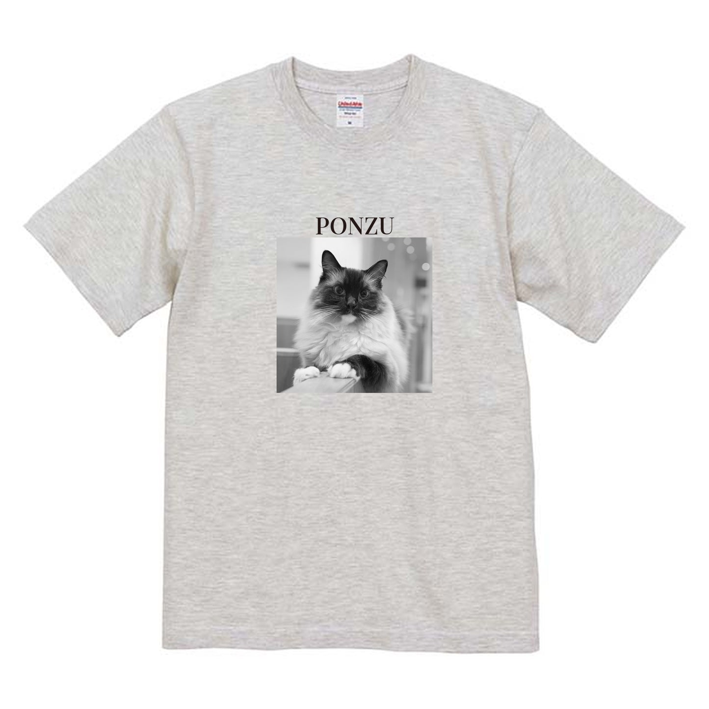 009