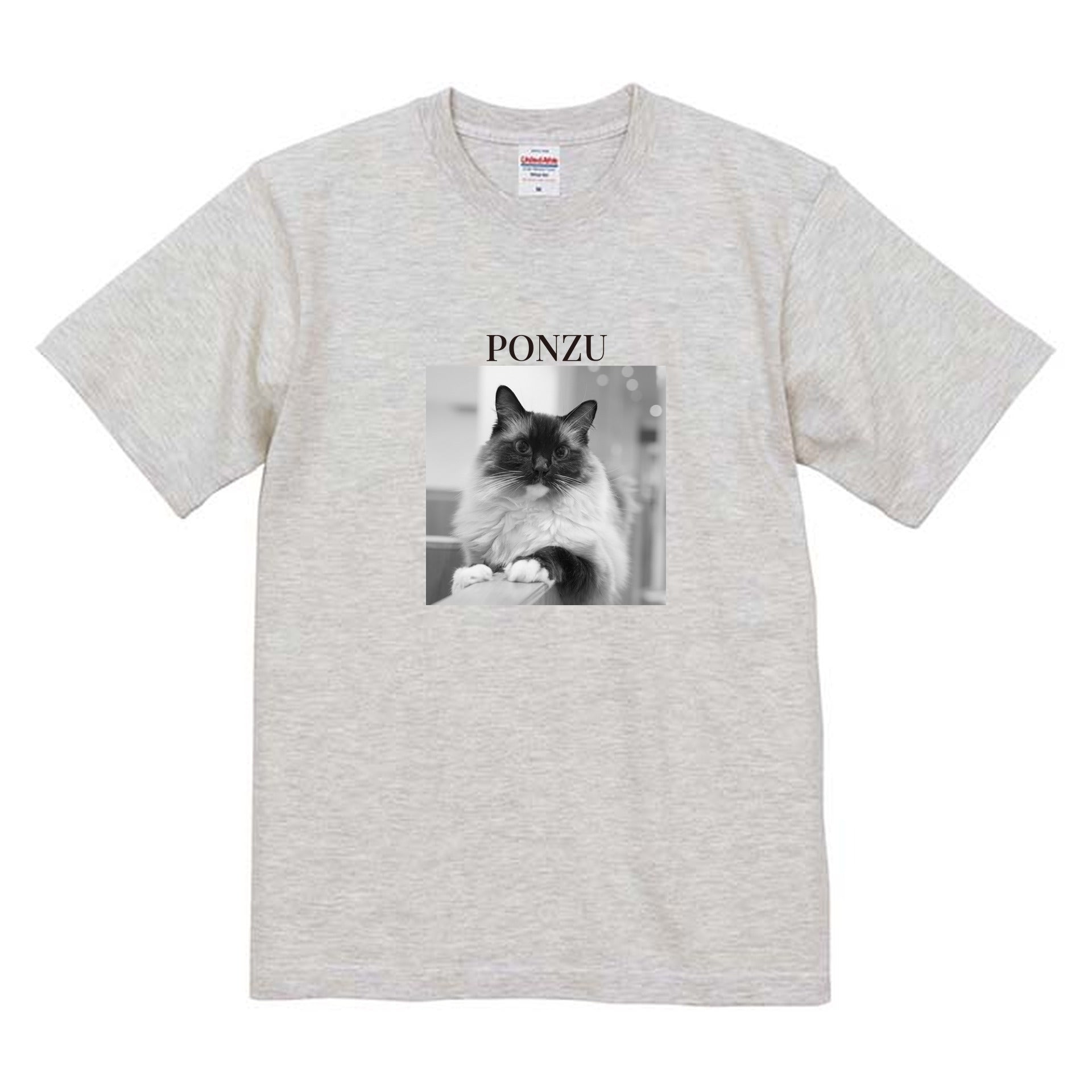 009