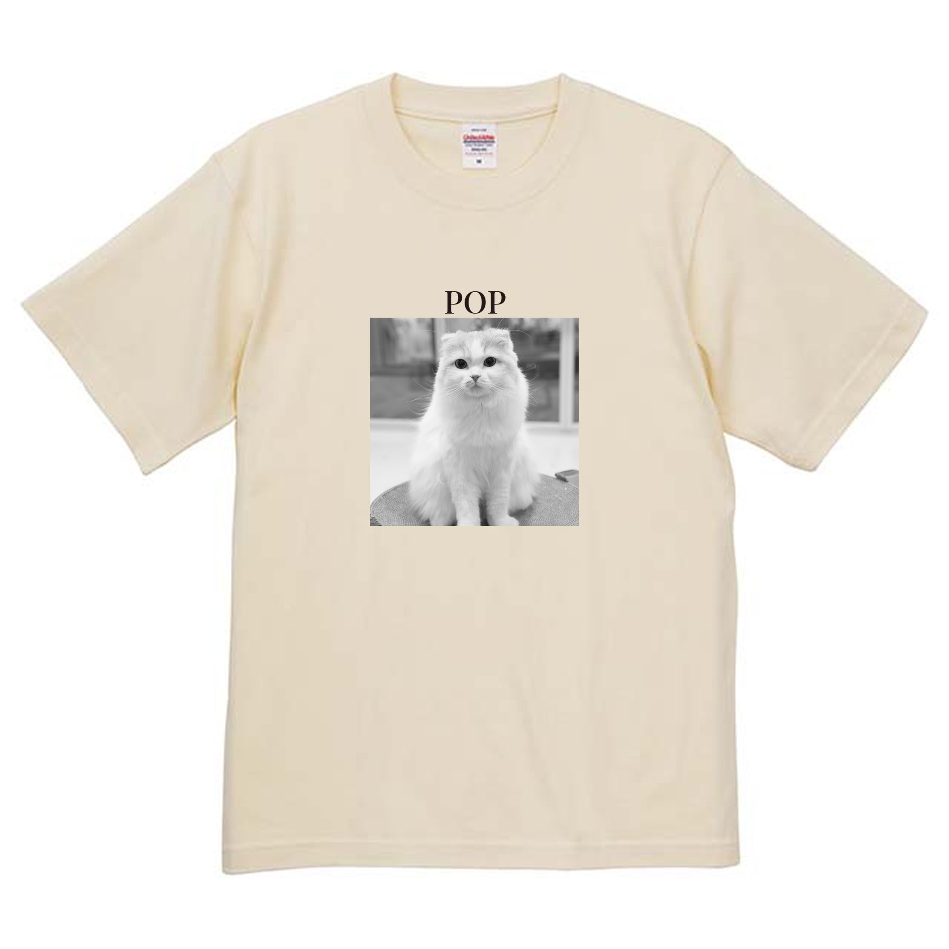 019