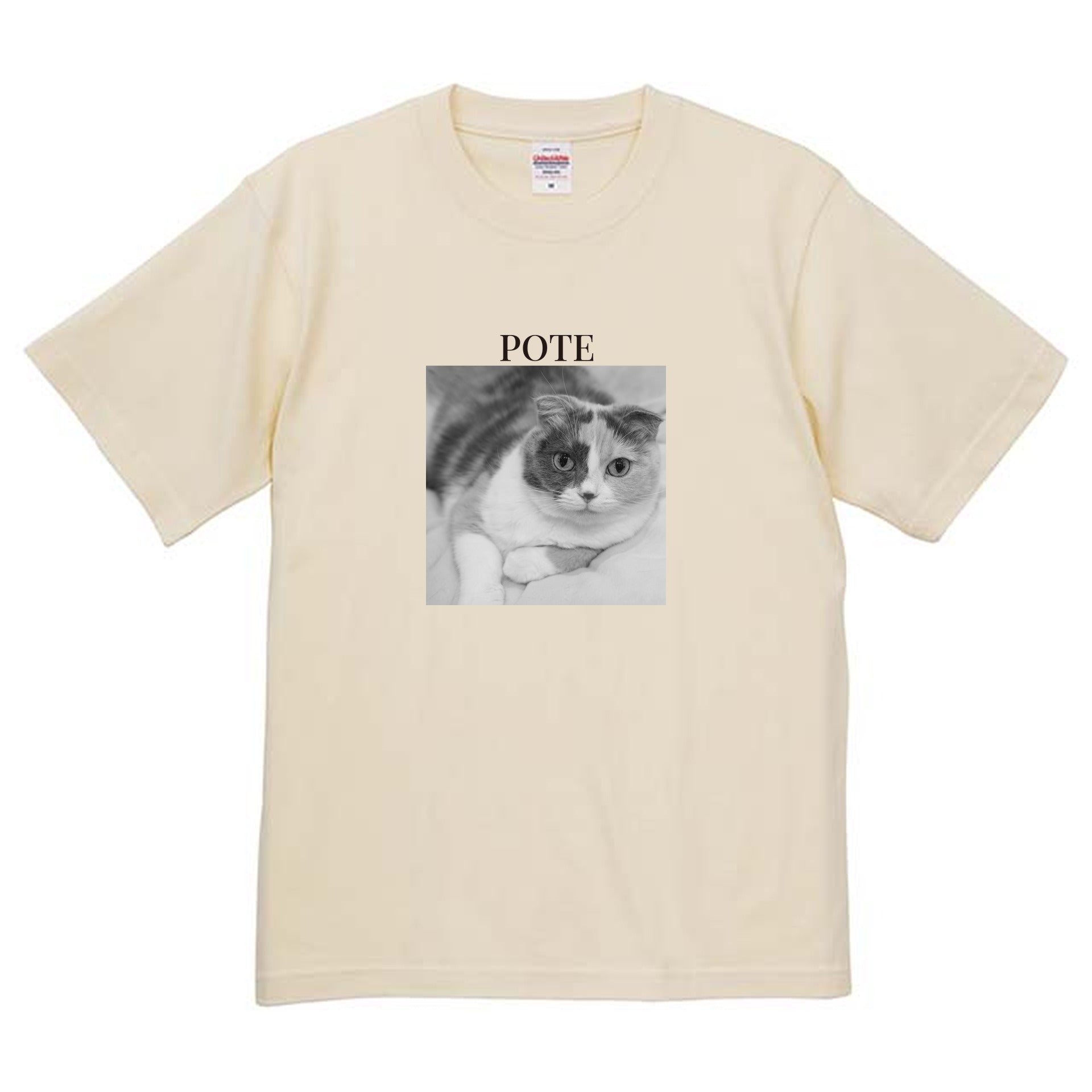 019