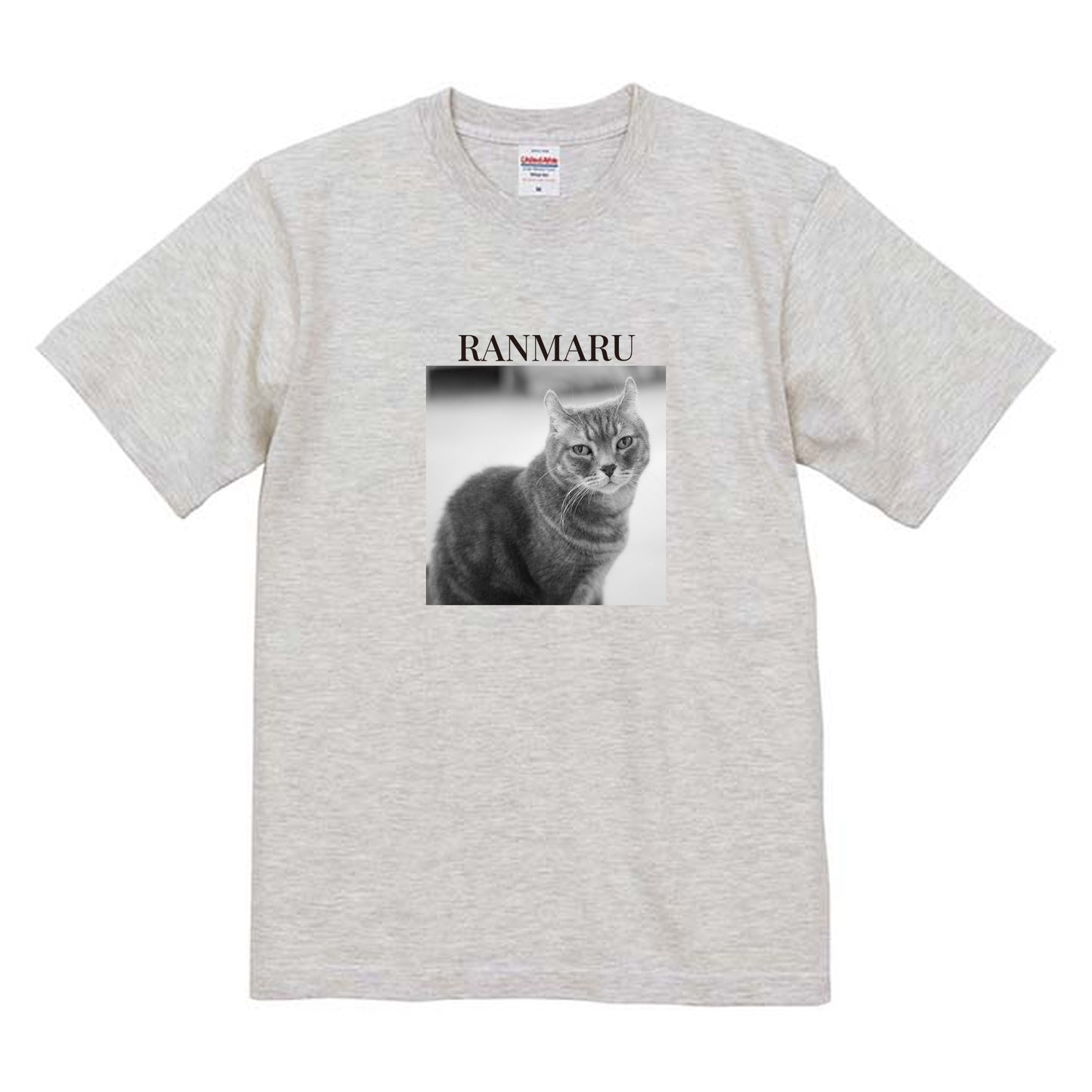009
