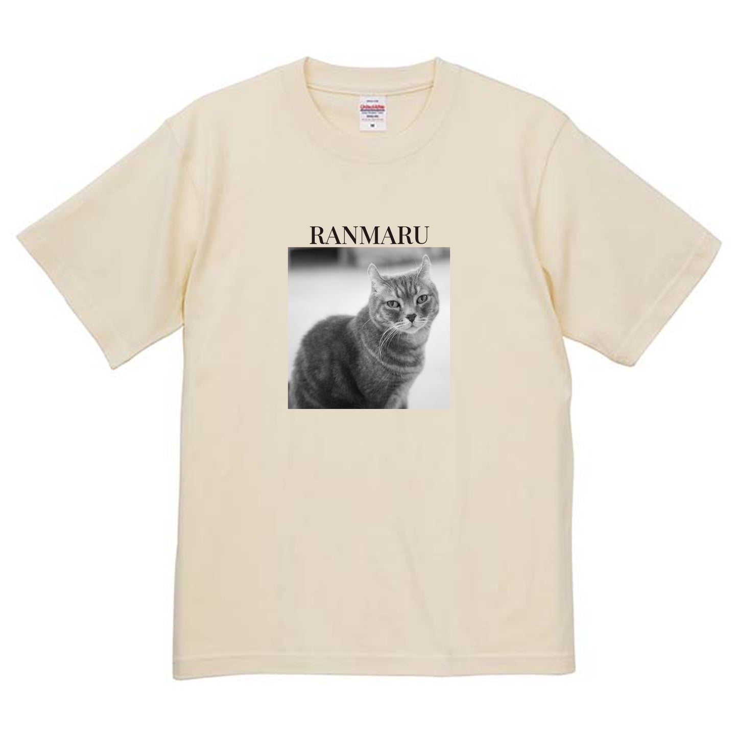 019