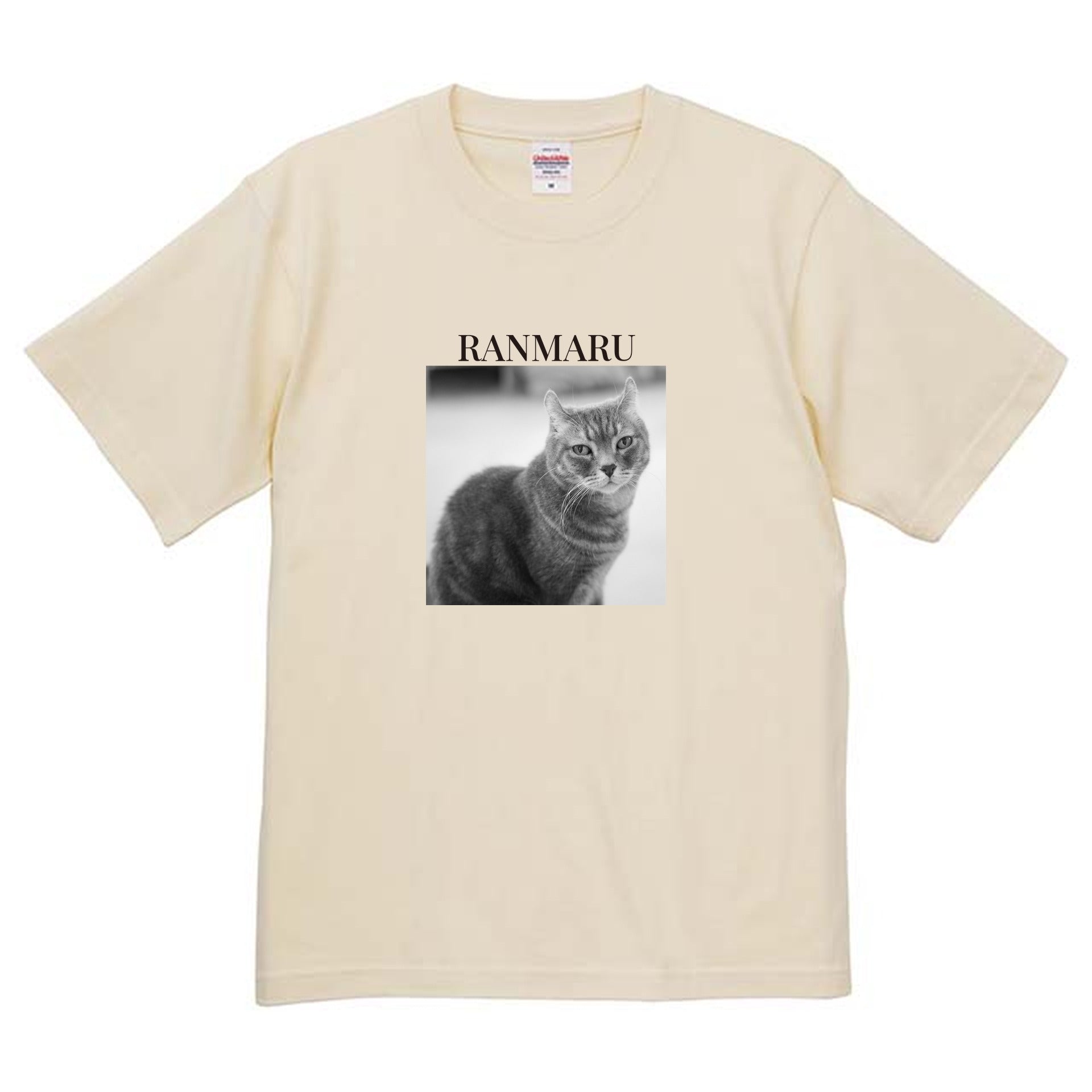 019