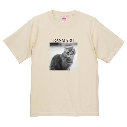 019