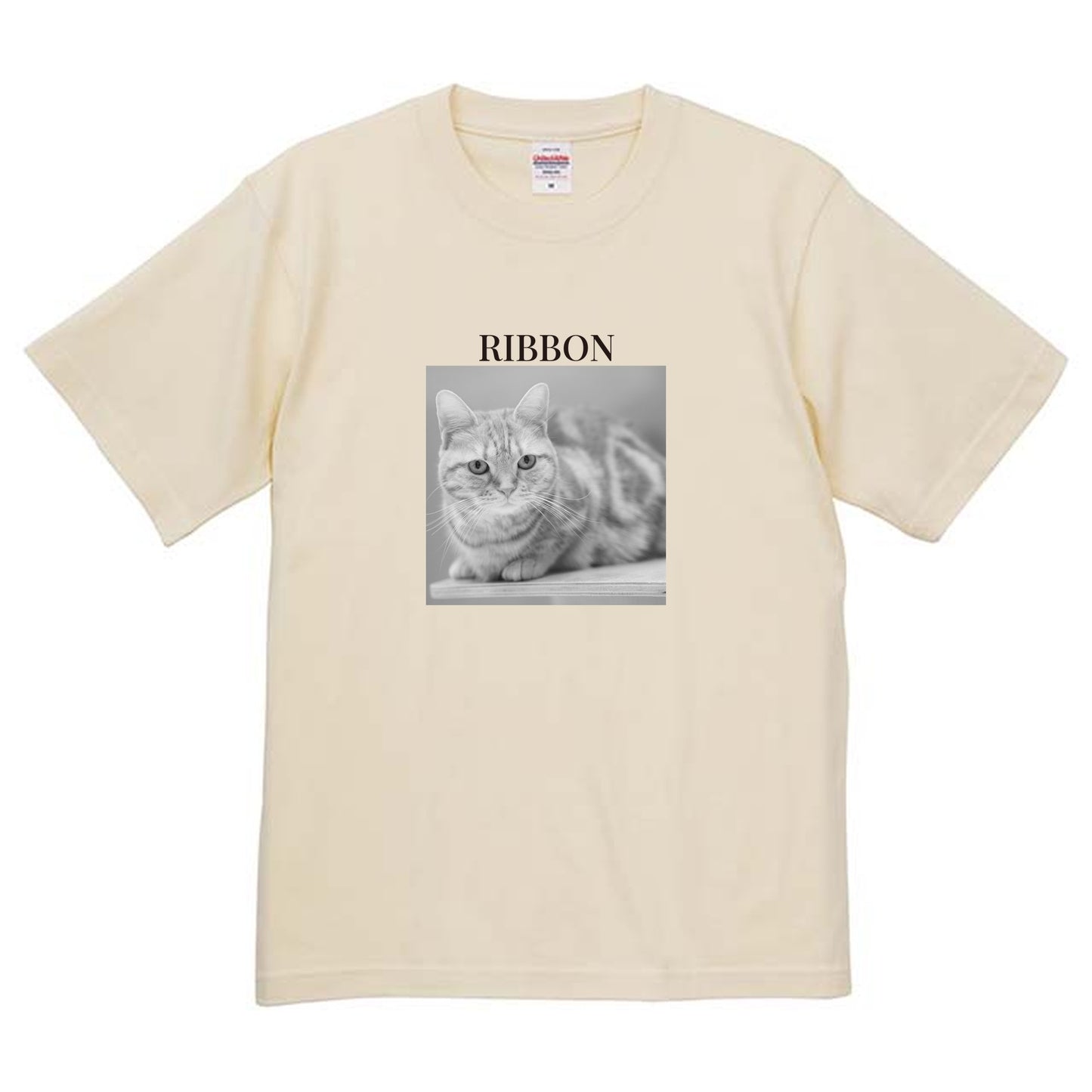 019