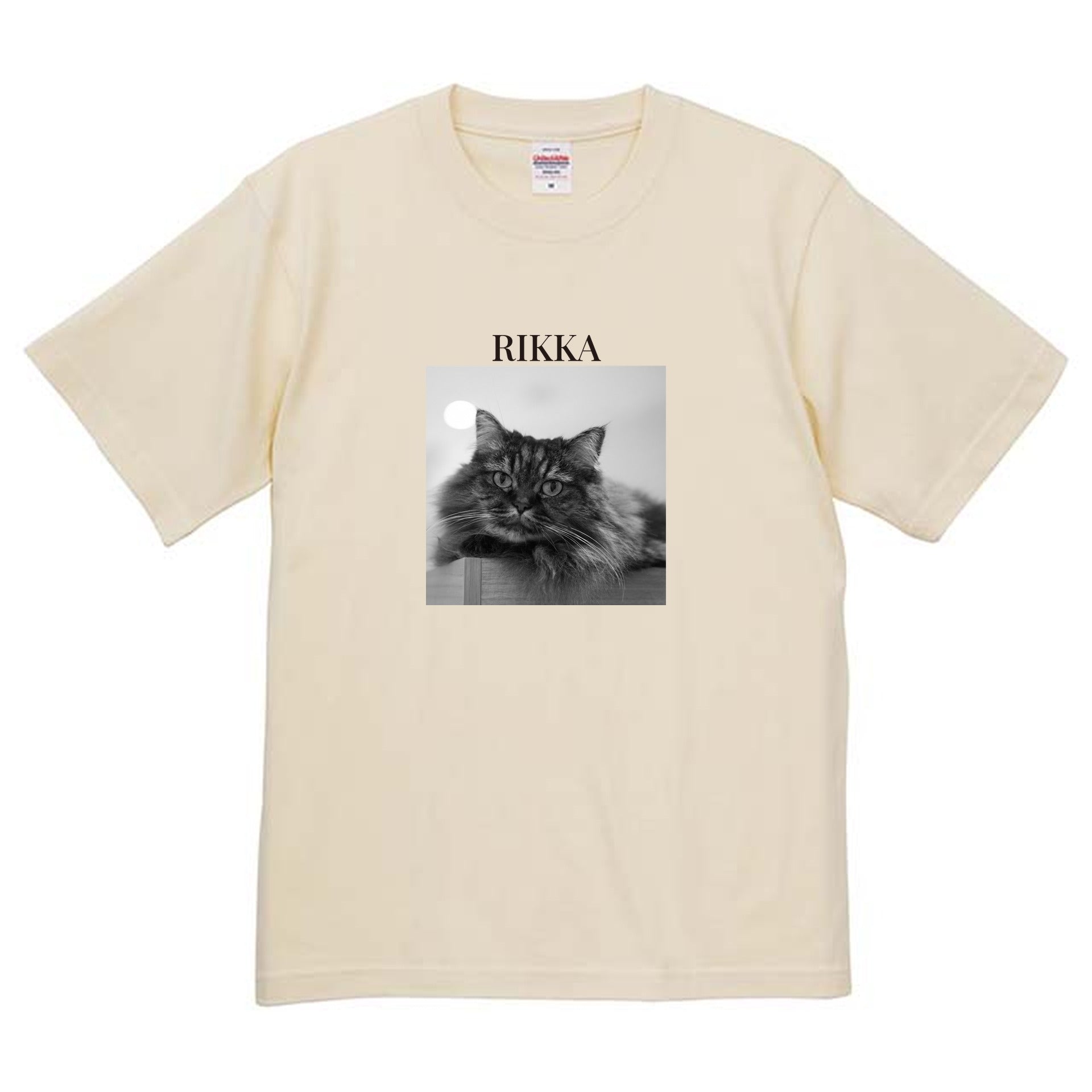 019