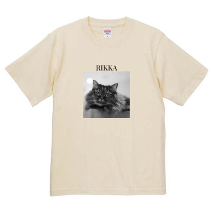 019