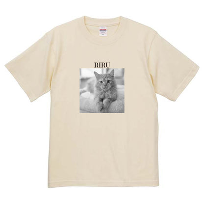 019